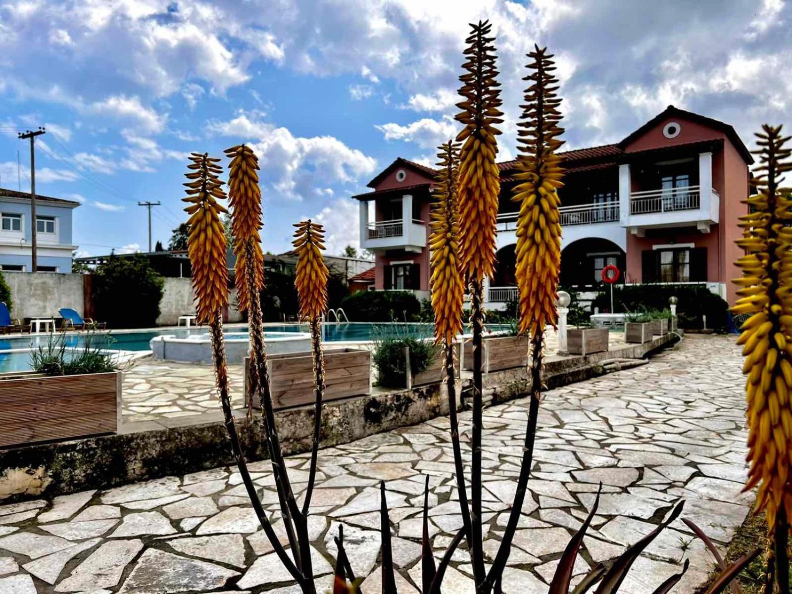 Apartmán Angela Corfu Potamós Exteriér fotografie