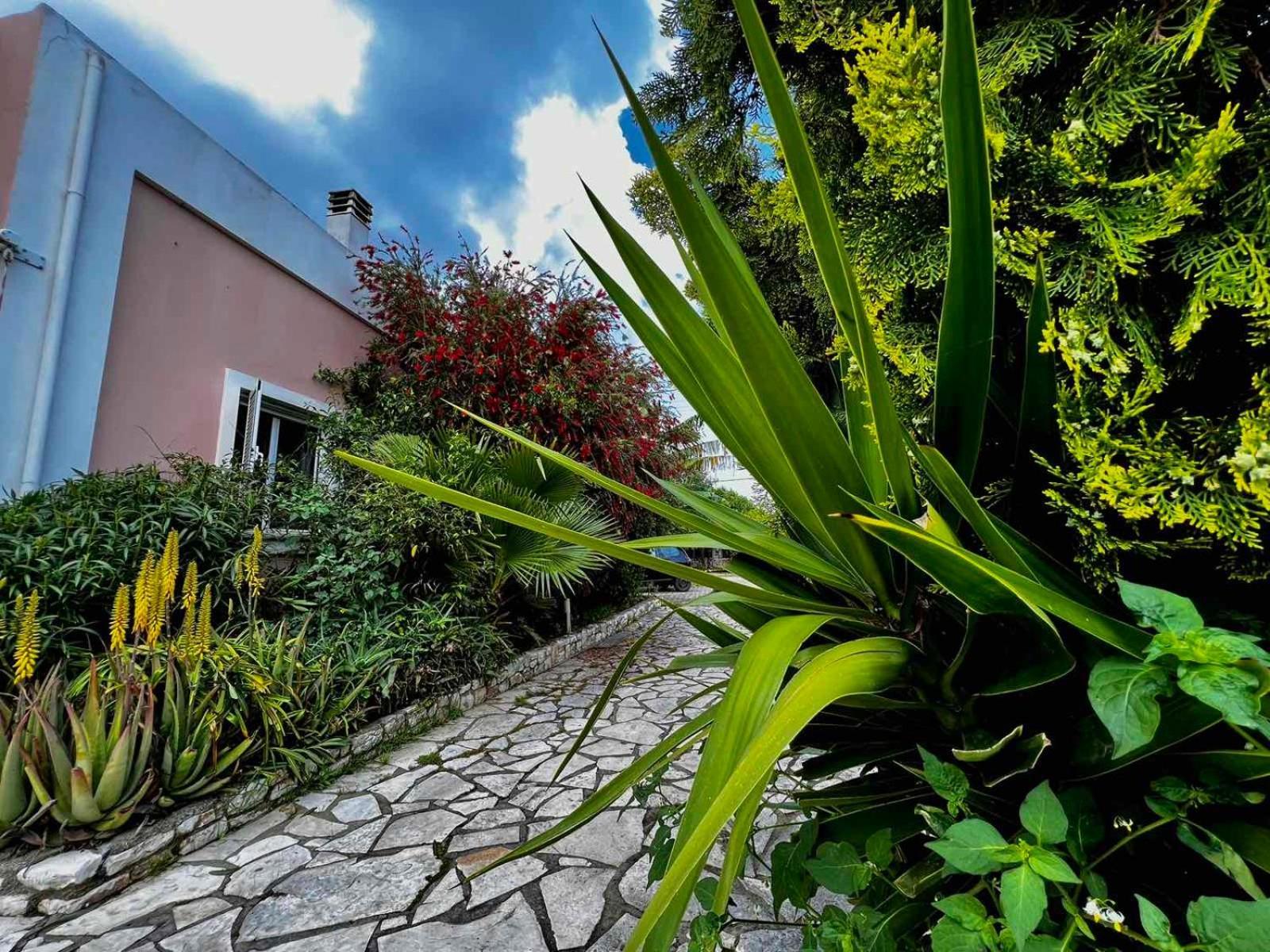 Apartmán Angela Corfu Potamós Exteriér fotografie