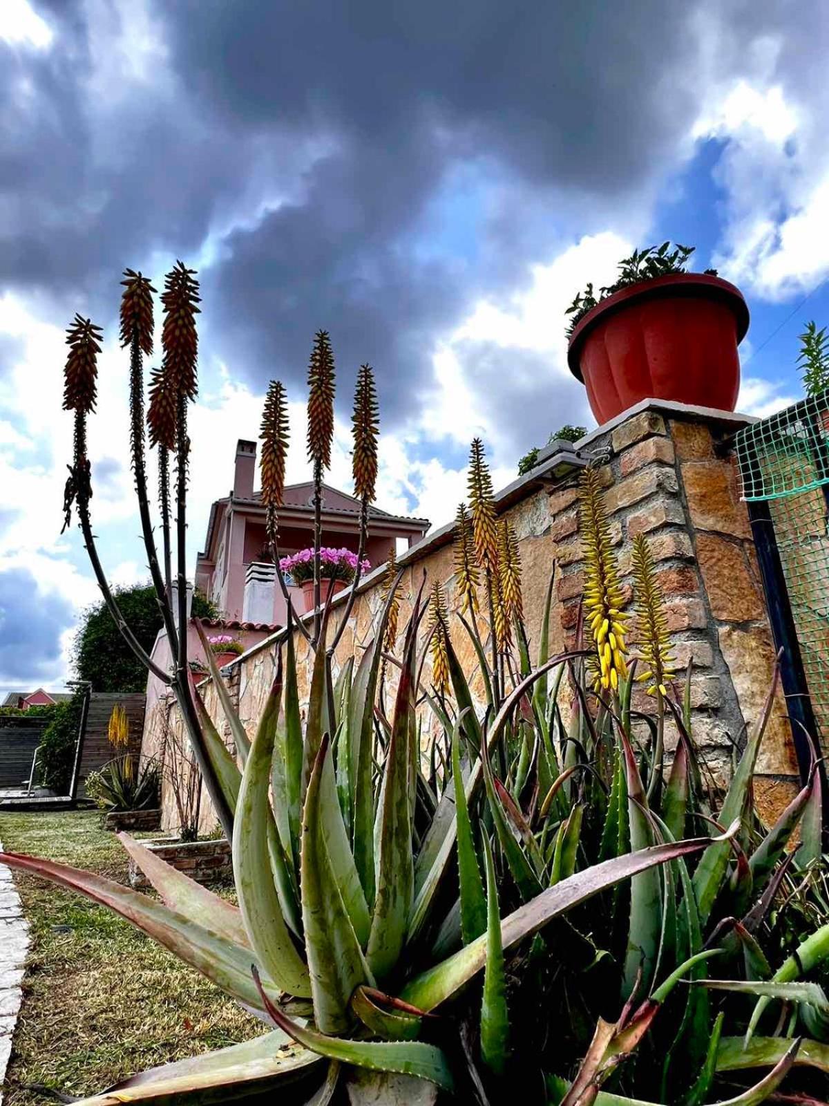 Apartmán Angela Corfu Potamós Exteriér fotografie