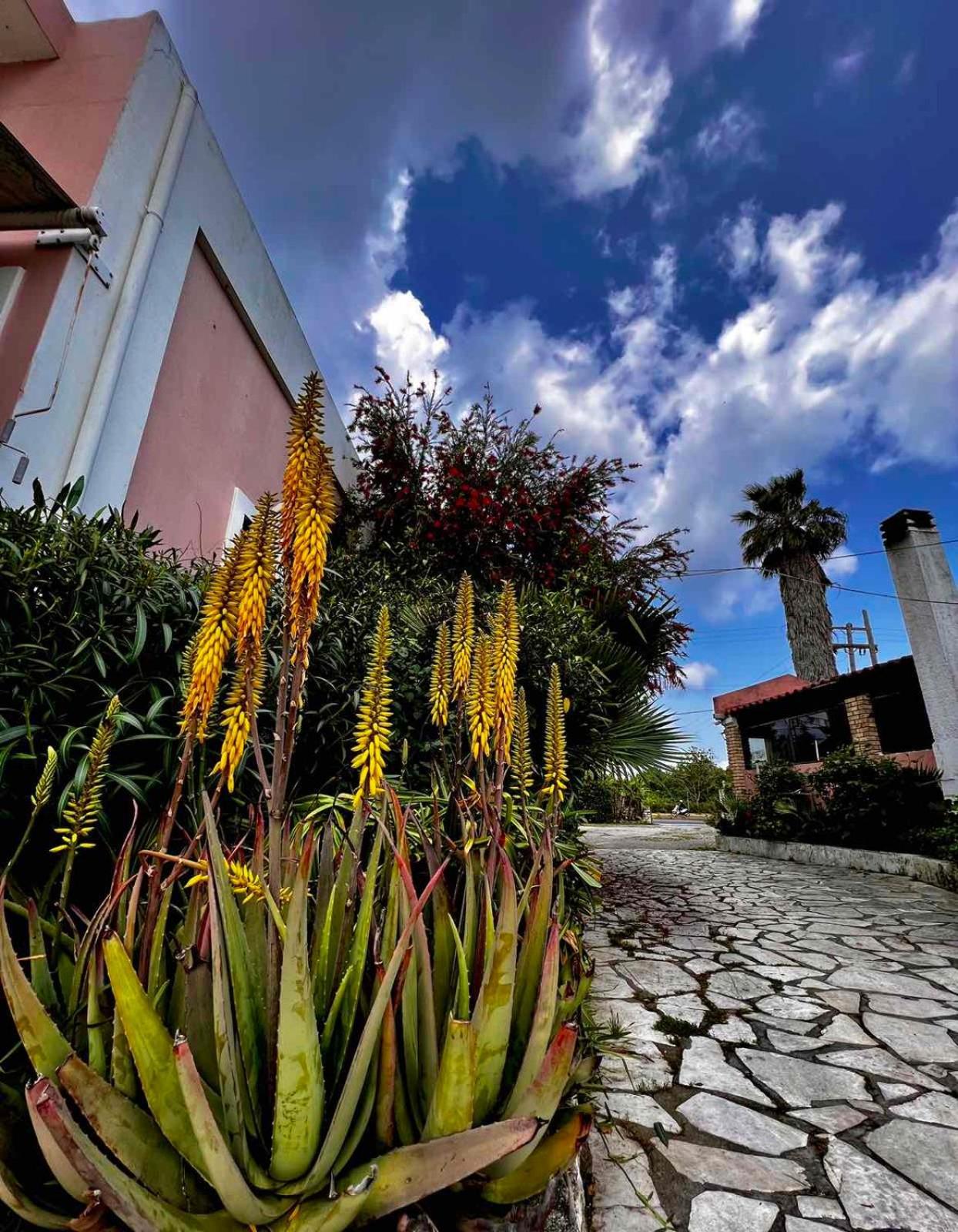 Apartmán Angela Corfu Potamós Exteriér fotografie